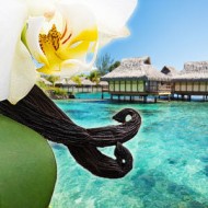 FlavourArt Vanilla Tahity