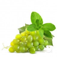 ZAZO Grape Mint