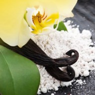 FlavourArt Vanille Bourbon