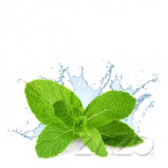 ZAZO Fresh Mint