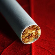 FlavourArt Maxx Blend