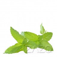 ZAZO Peppermint