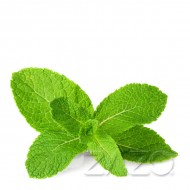 ZAZO Mint